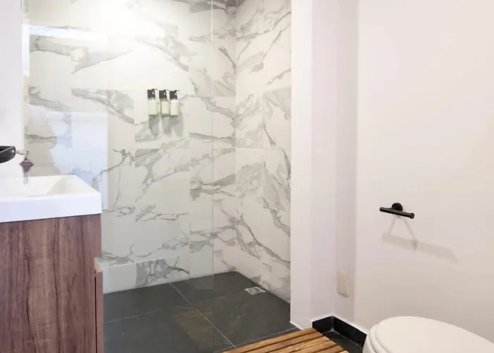 Breathtaking 9 Bedroom Huge Rooftop W 4 Ac Condesa Holiday home *